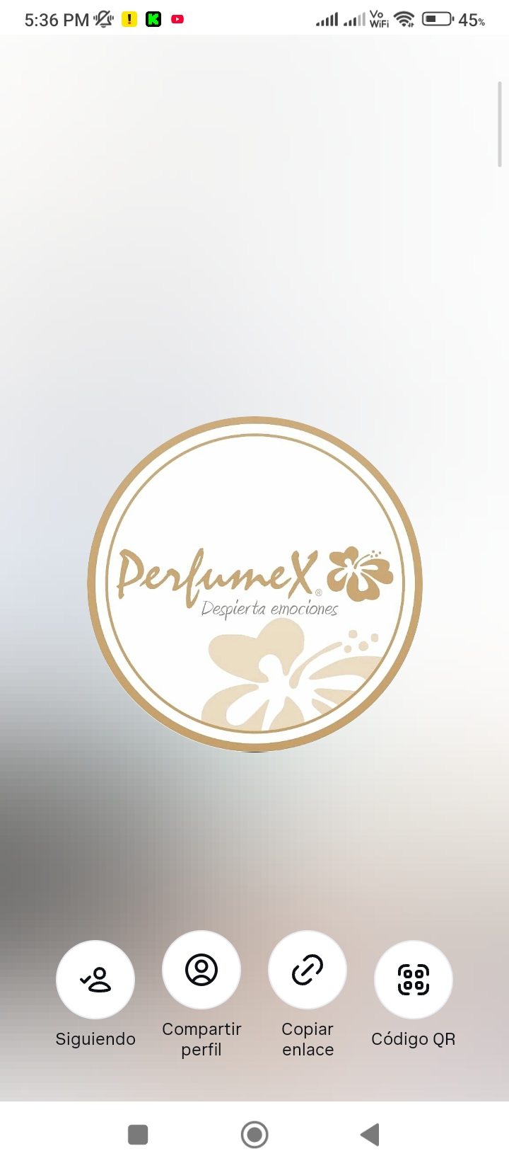 Logo de Perfumex Jamundi