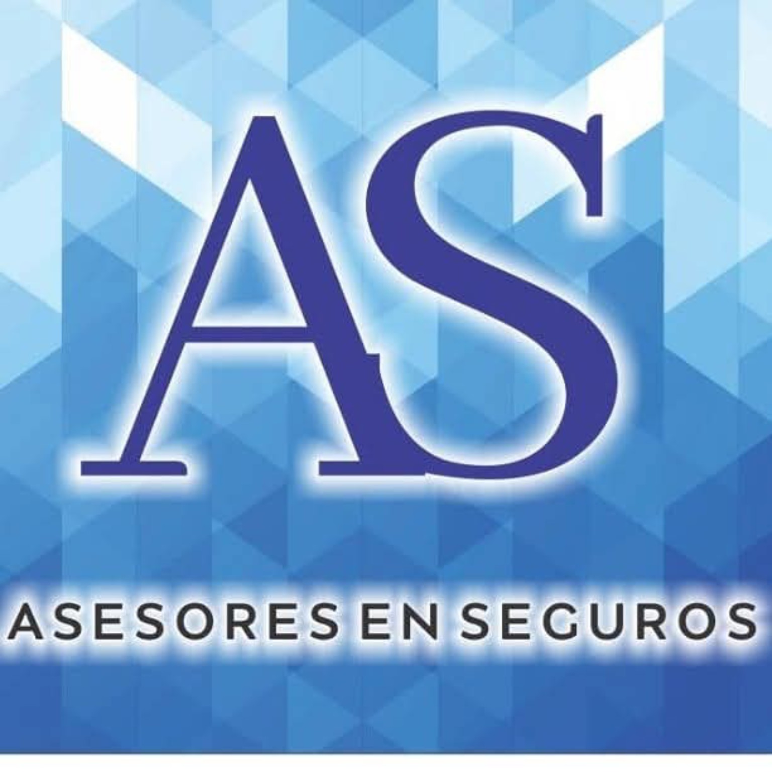 Logo de As Asesores Especialistas en Riesgos y Seguros
