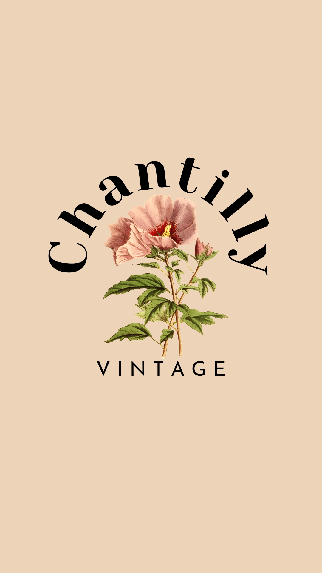 Logo de Chantilly Vintage