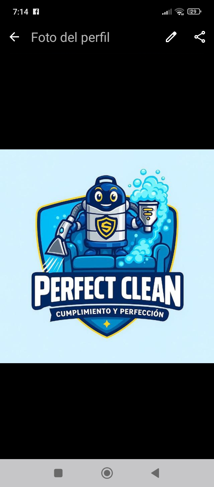 Logo de Lavados perfect clean