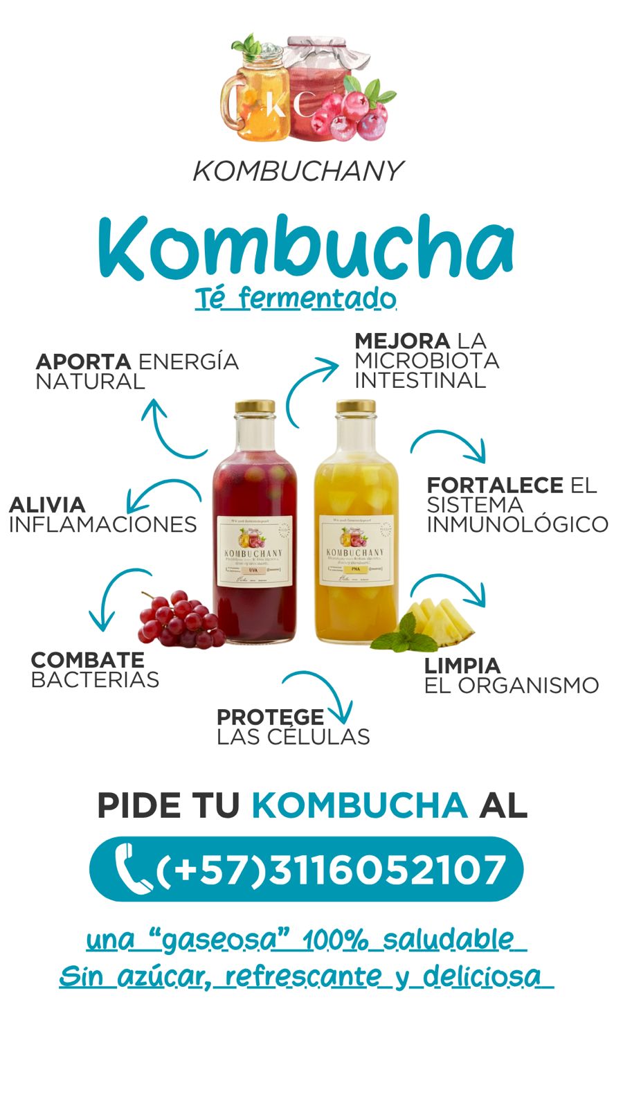 Portada de Kombucha Artesanal - Kombuchany