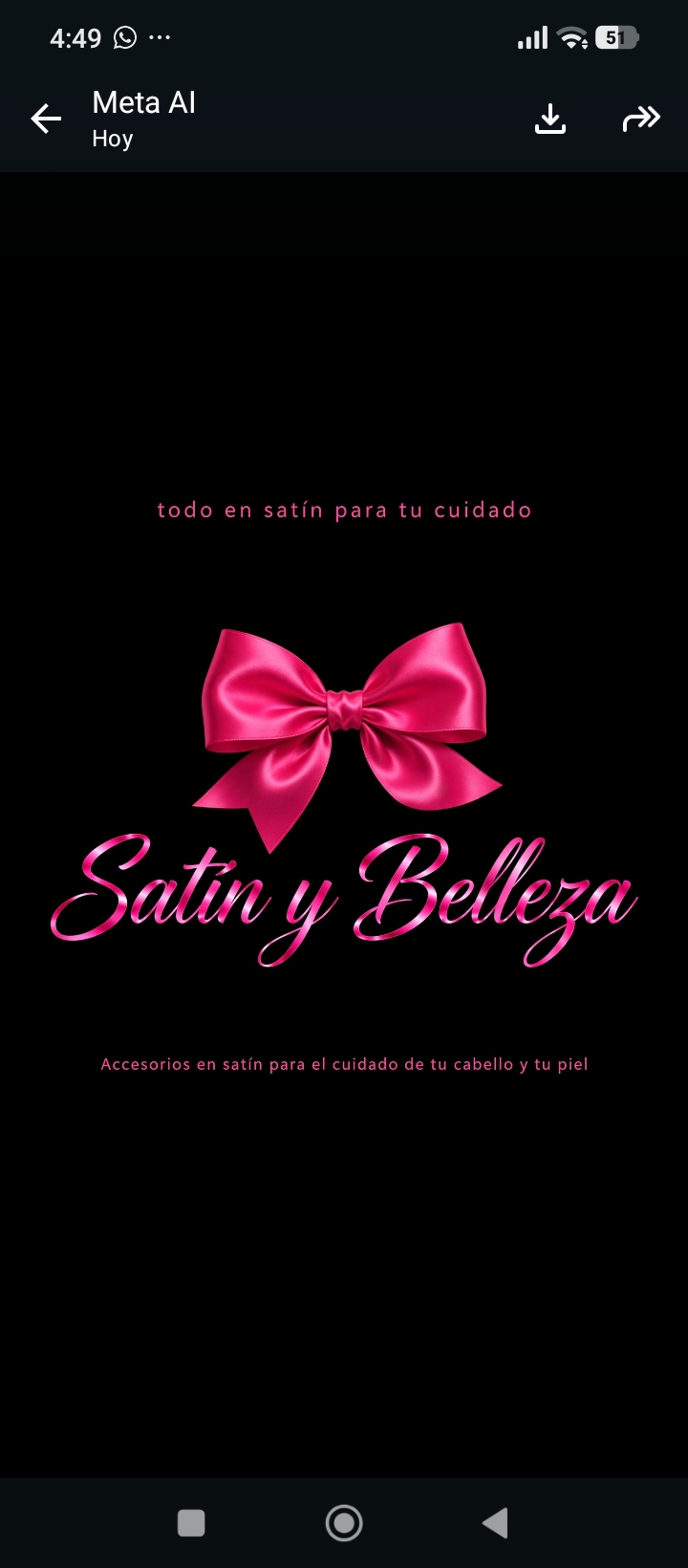 Logo de Satín y belleza